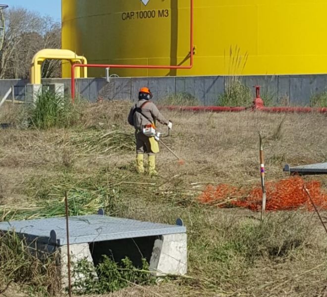 WhatsApp Image 2018-12-19 at 17.42.12 (1)